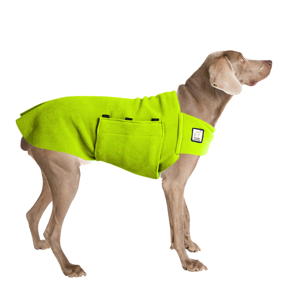 Weimaraner Tummy Warmer