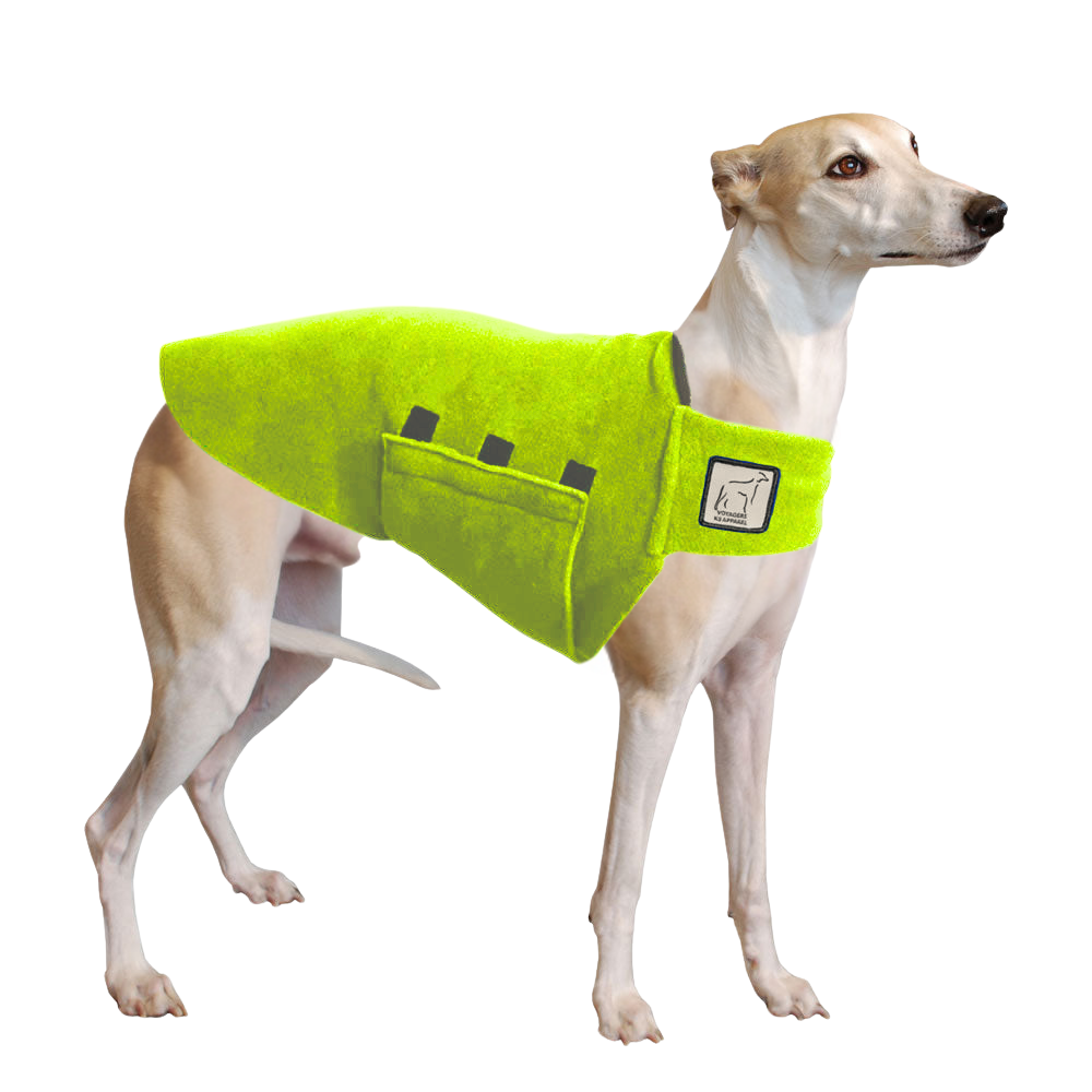 Whippet Tummy Warmer