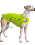 Whippet Tummy Warmer