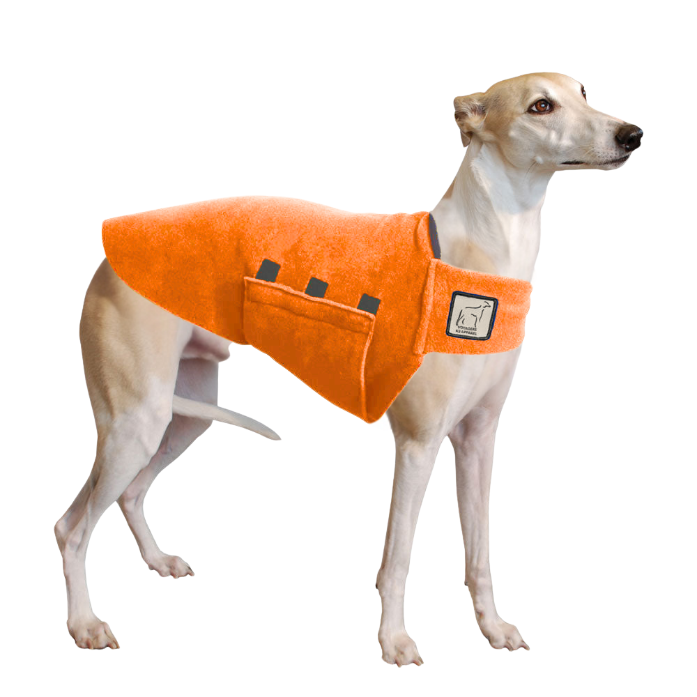 Whippet Tummy Warmer