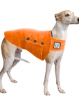 Whippet Tummy Warmer