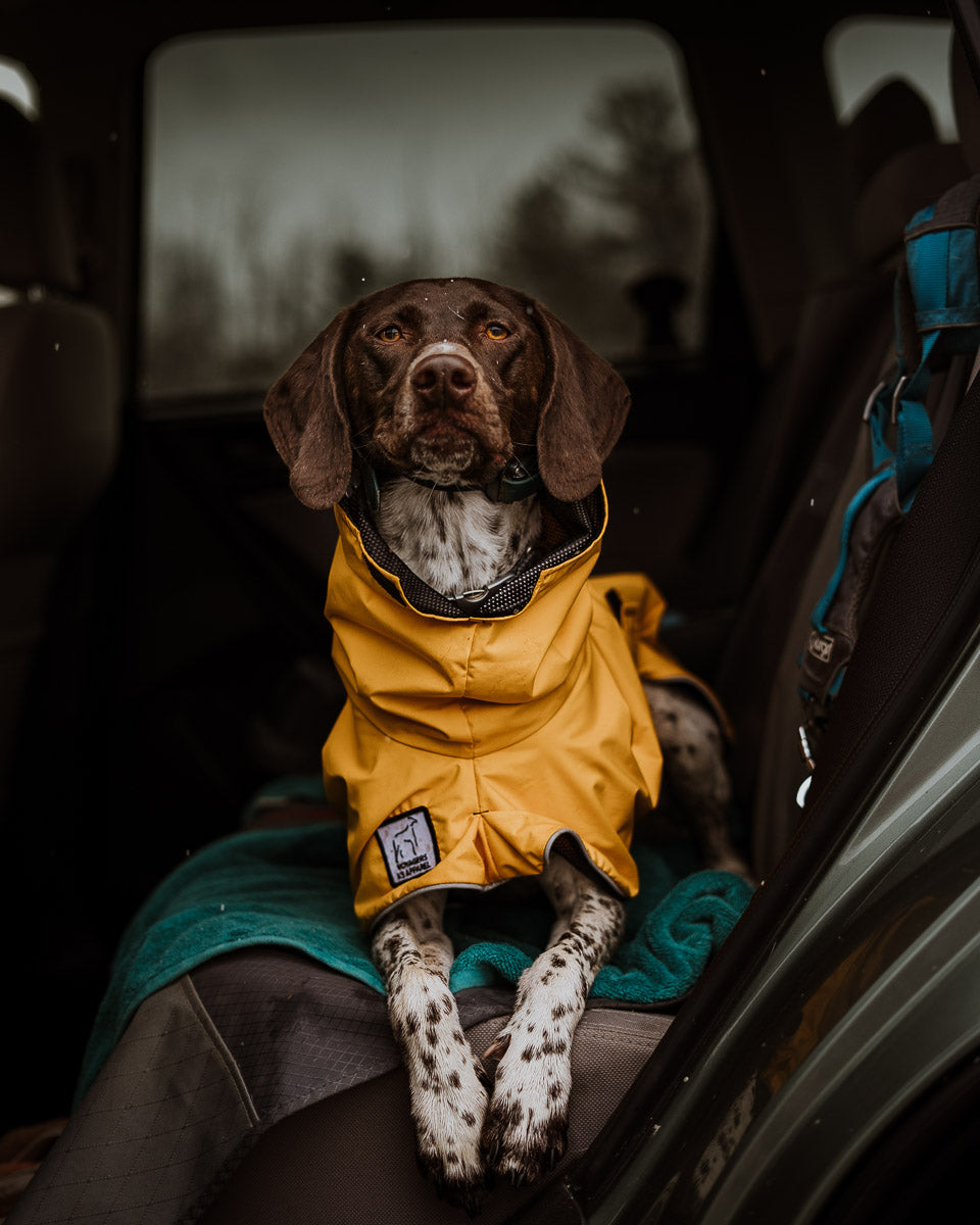 Raincoat on sale golden retriever