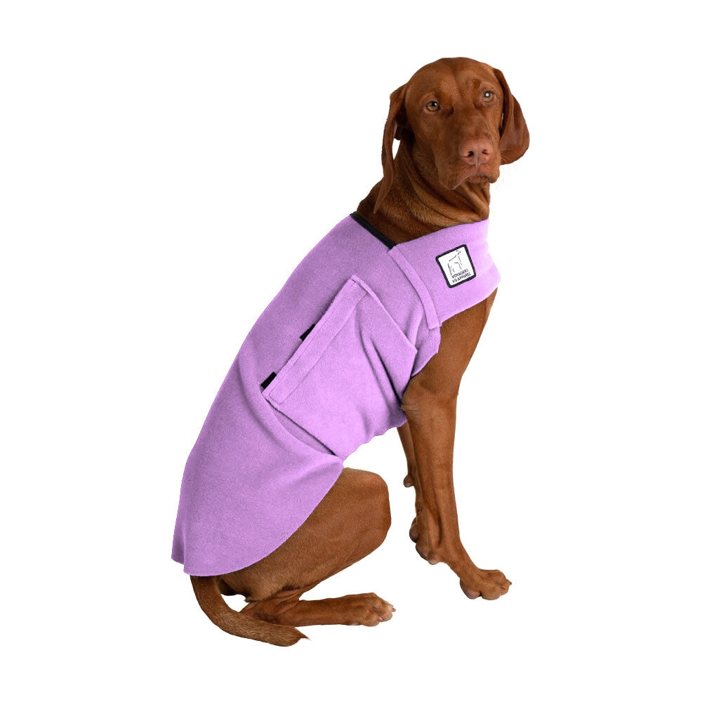 Vizsla Tummy Warmer