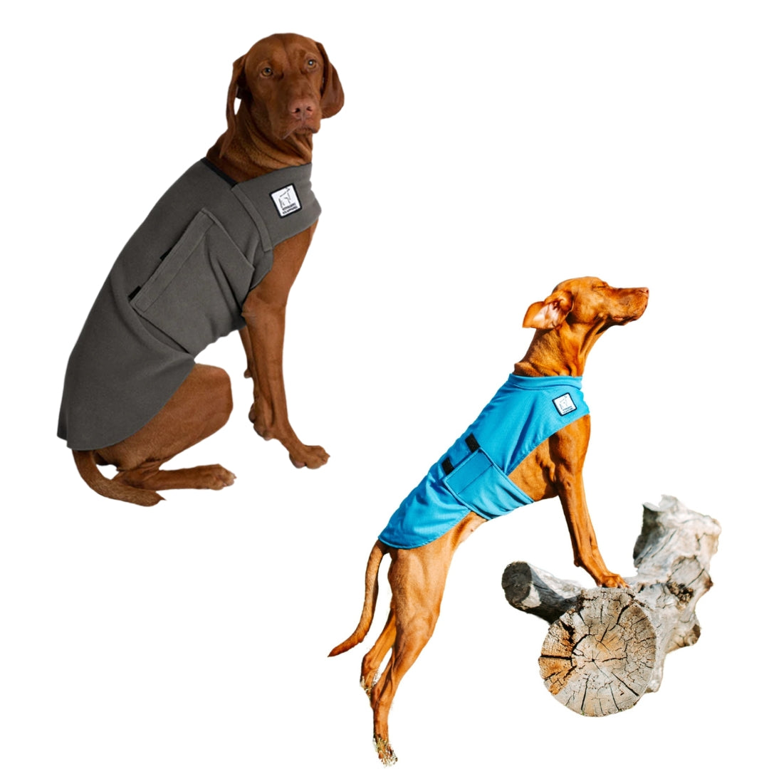 Vizsla Hiker Bundle