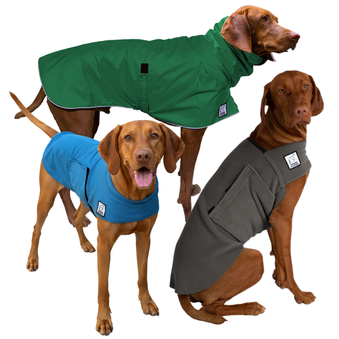 Vizsla Nomad Bundle