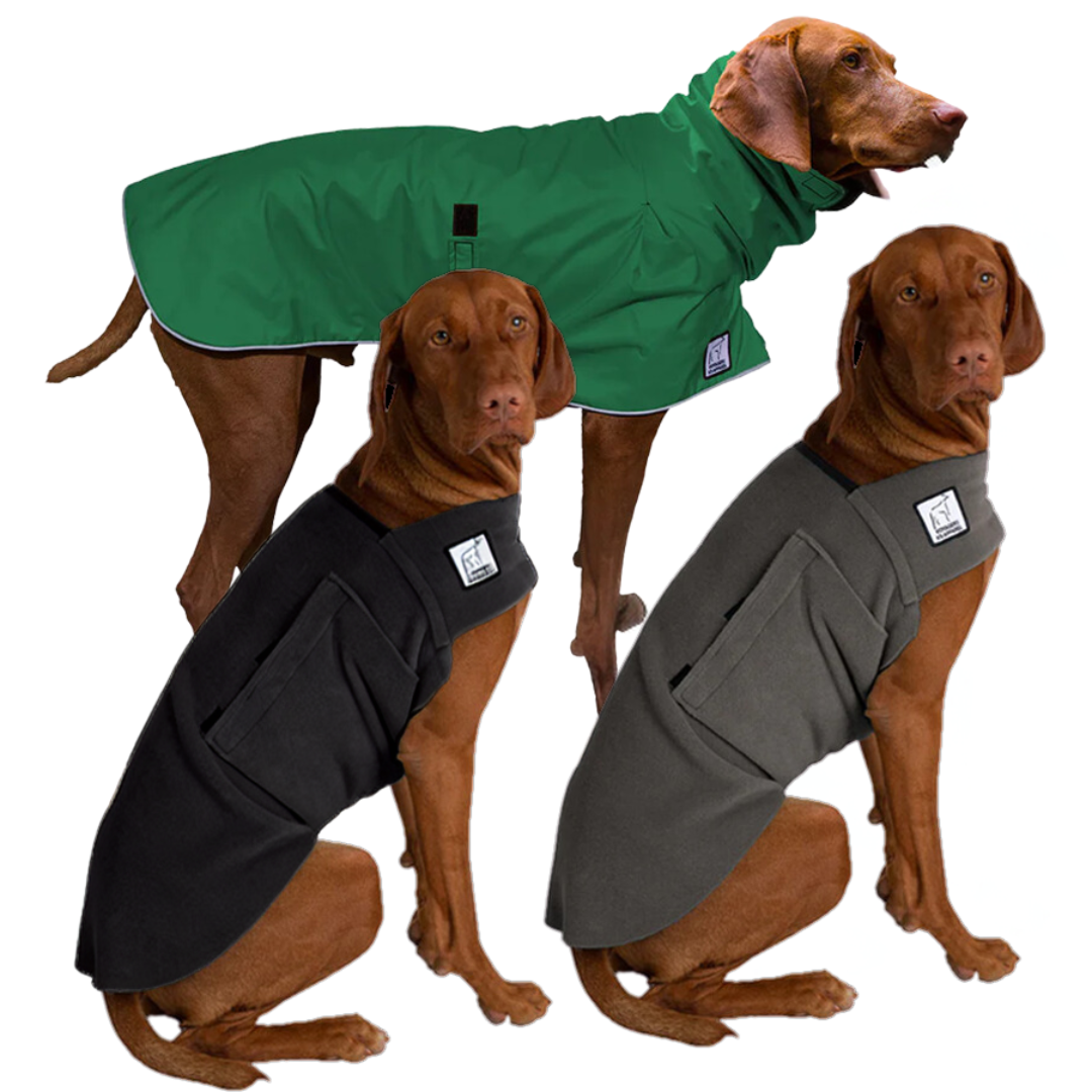 Vizsla Wanderer Bundle