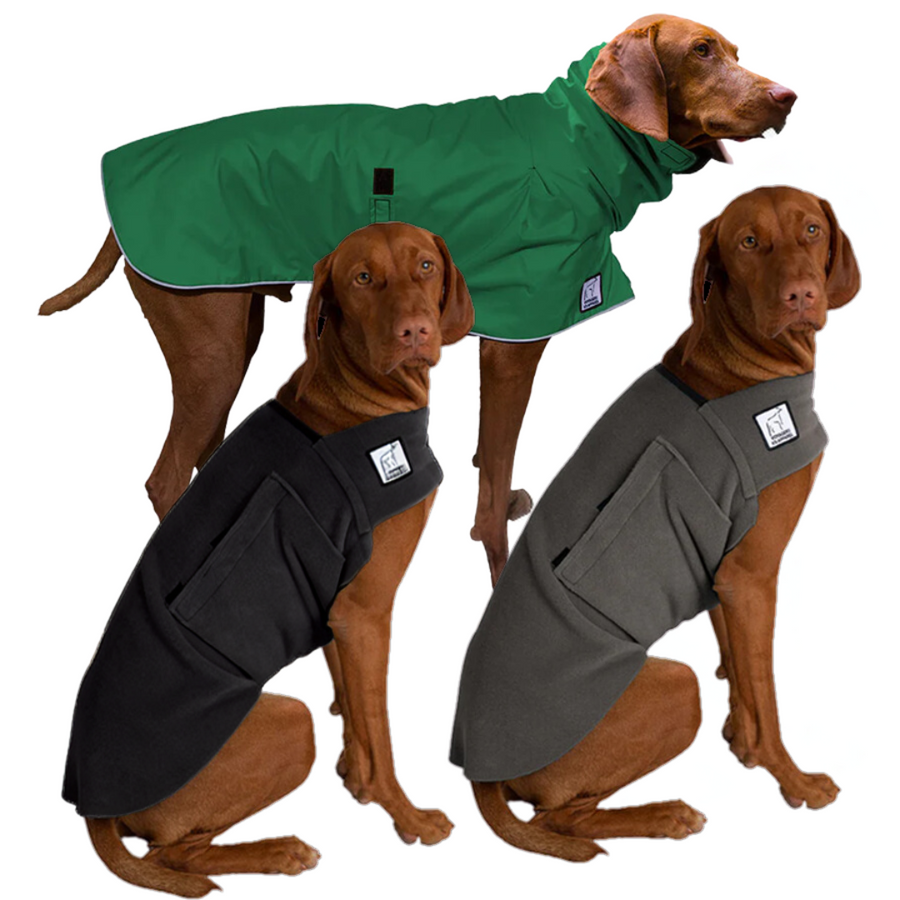 Vizsla Fall Essentials Bundle