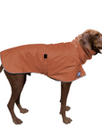 Vizsla Raincoat