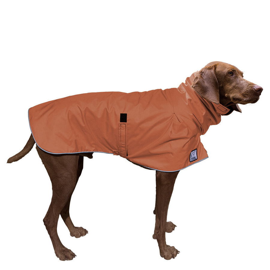 Vizsla Raincoat