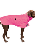 Vizsla Raincoat