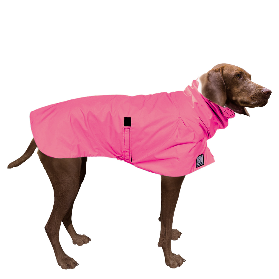 Vizsla Raincoat