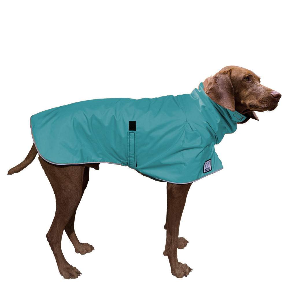 Rhodesian Ridgeback Raincoat