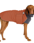 Vizsla Winter Coat