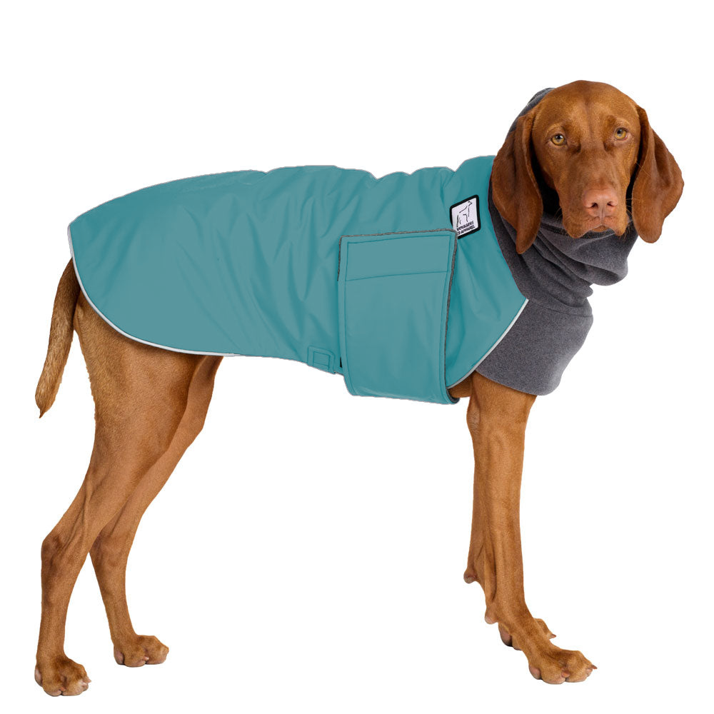 Vizsla Winter Coat