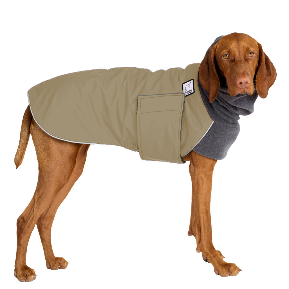 Vizsla Winter Coat
