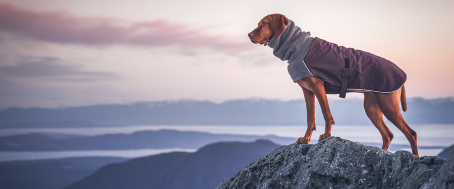 Voyagers K9 Apparel Breed Specific Custom Sized Dog Coats