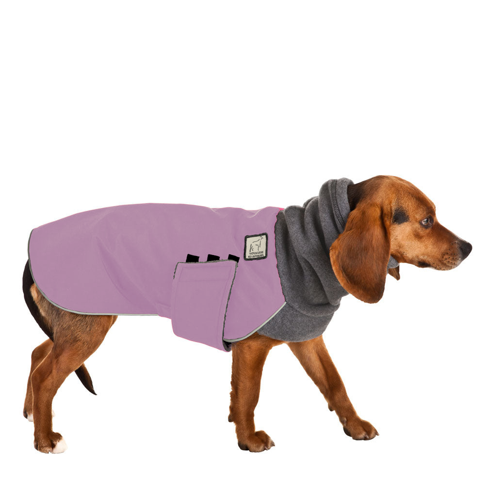 Beagle Winter Coat