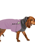 Beagle Winter Coat