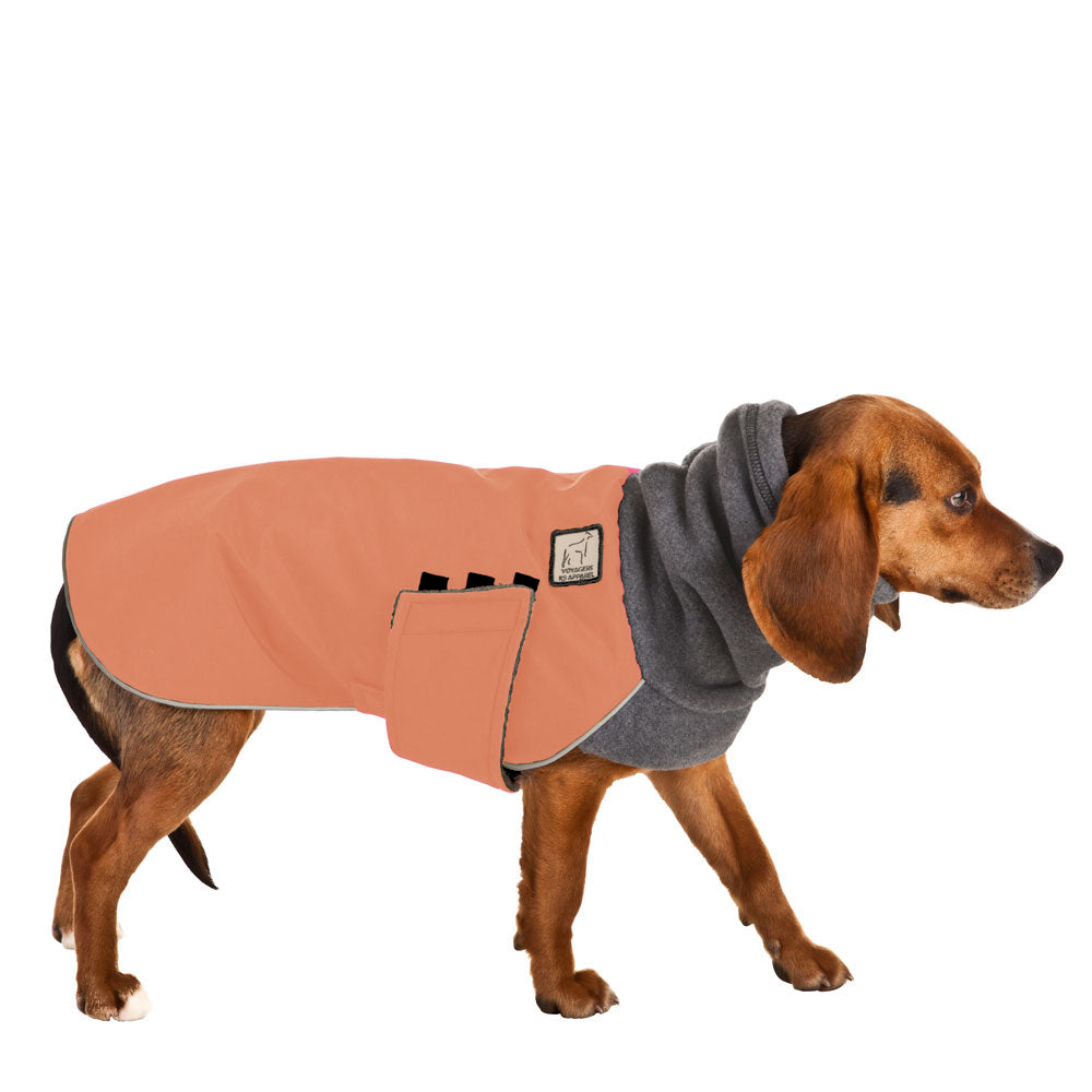 Beagle Winter Coat