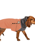 Beagle Winter Coat