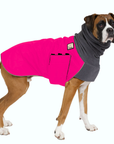 Boxer Winter Coat