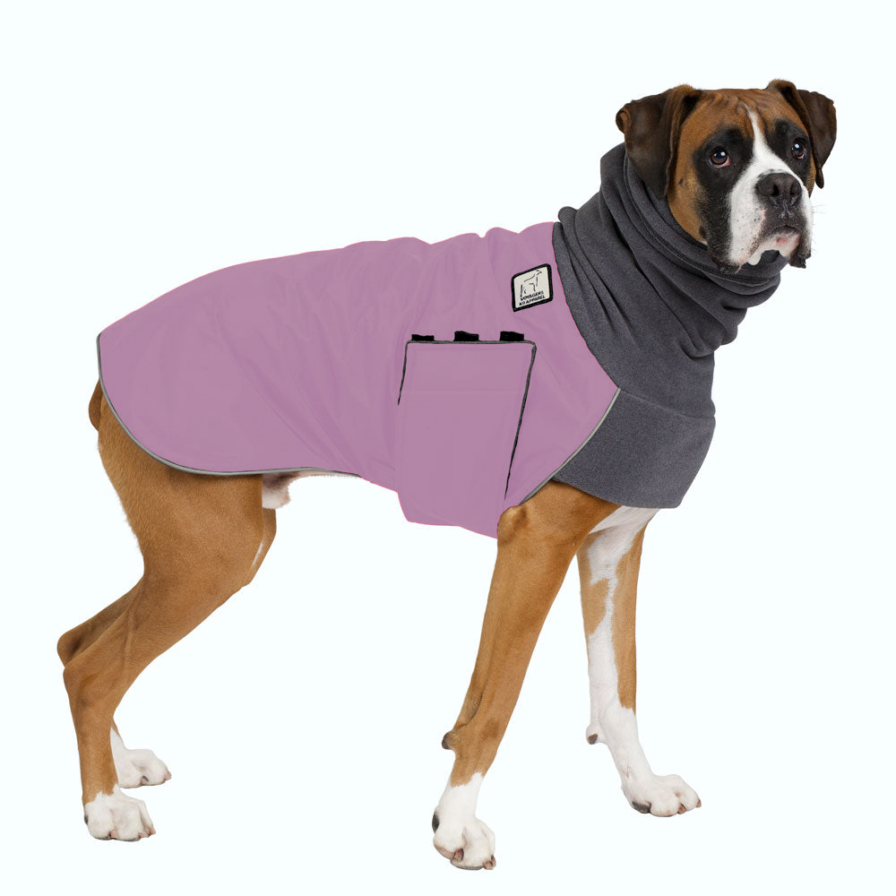 Boxer Winter Coat