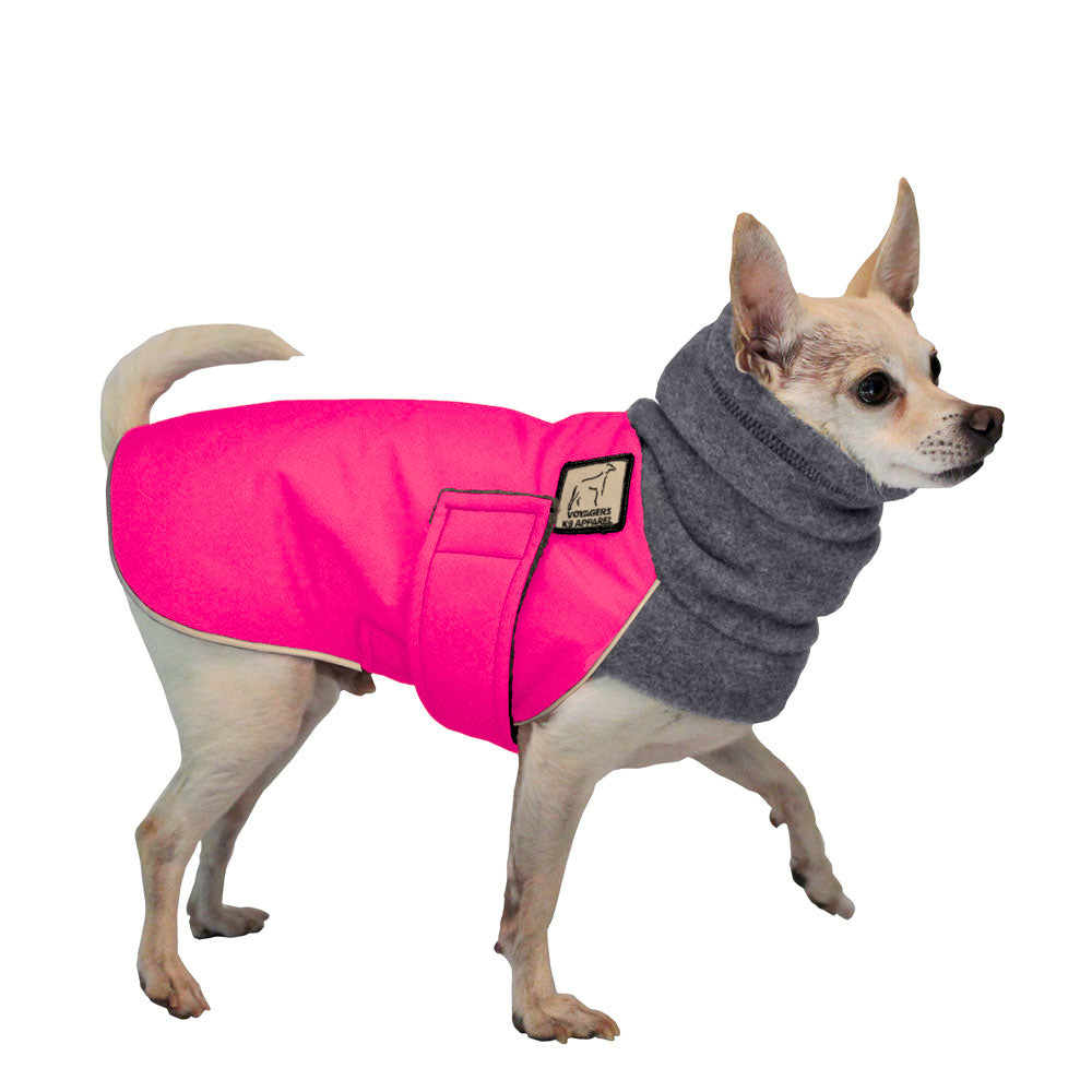 Chihuahua Winter Coat