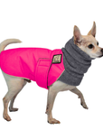 Chihuahua Winter Coat
