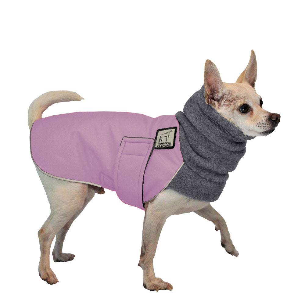 Chihuahua Winter Coat