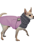 Chihuahua Winter Coat