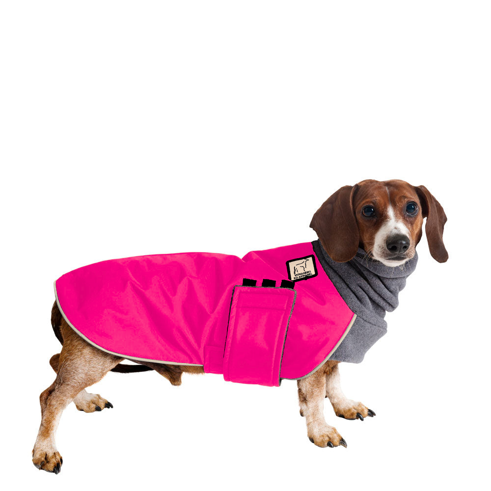 Miniature Dachshund Winter Coat