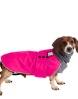 Dachshund Winter Coat