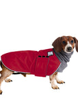 Miniature Dachshund Winter Coat