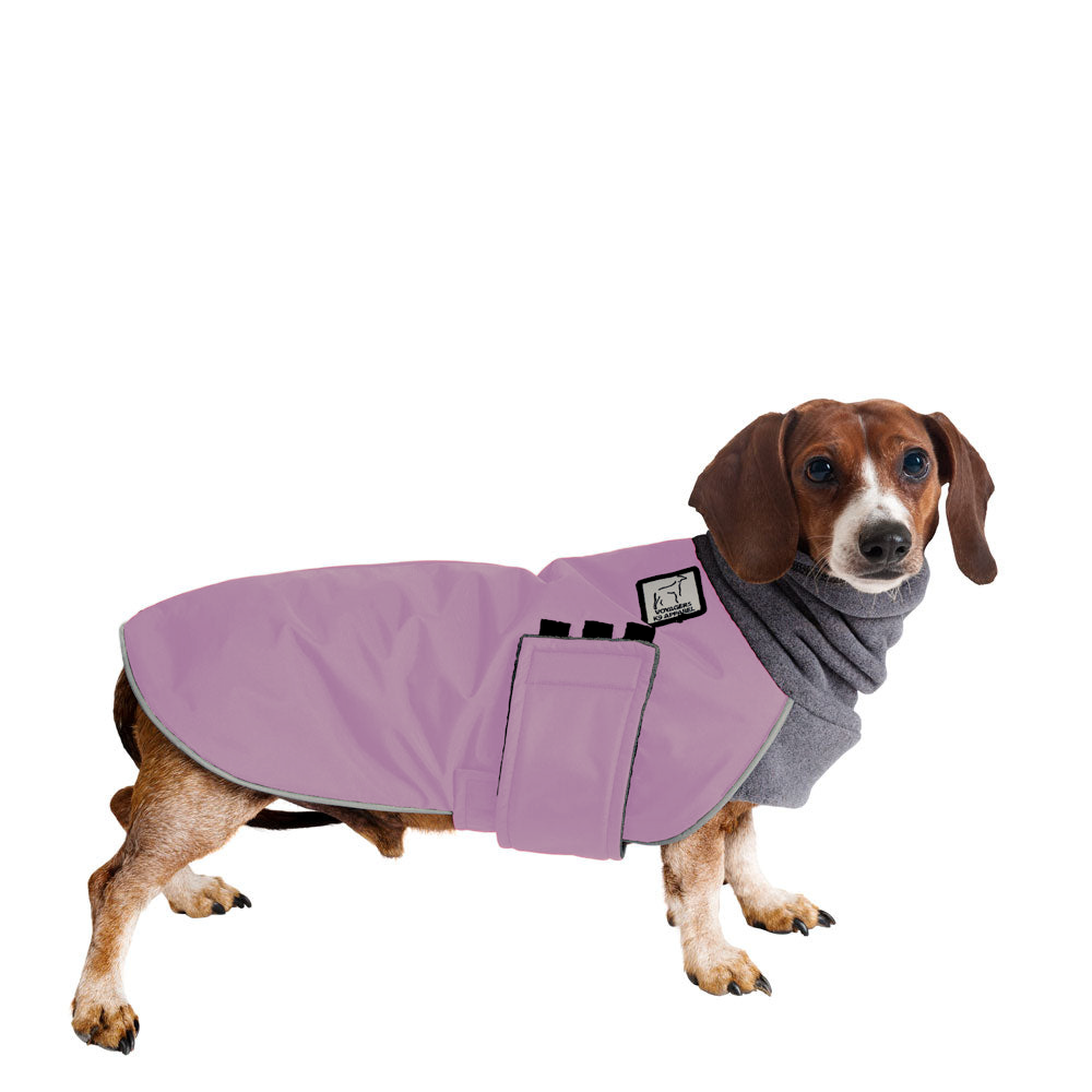 Dachshund Winter Coat