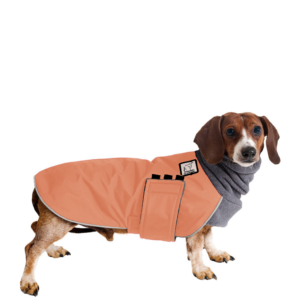 Dachshund Winter Coat