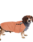 Dachshund Winter Coat