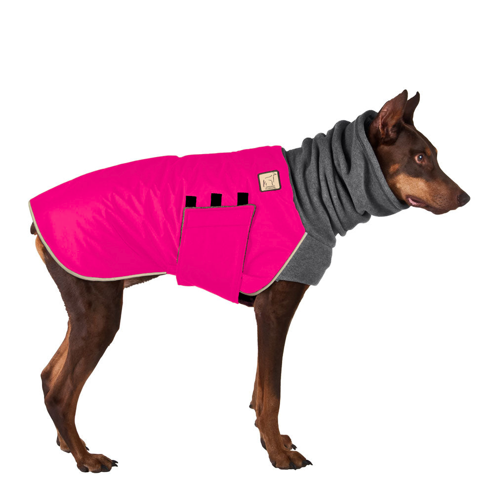 Doberman Pinscher Winter Coat