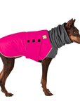 Doberman Pinscher Winter Coat