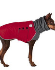 Doberman Pinscher Winter Coat