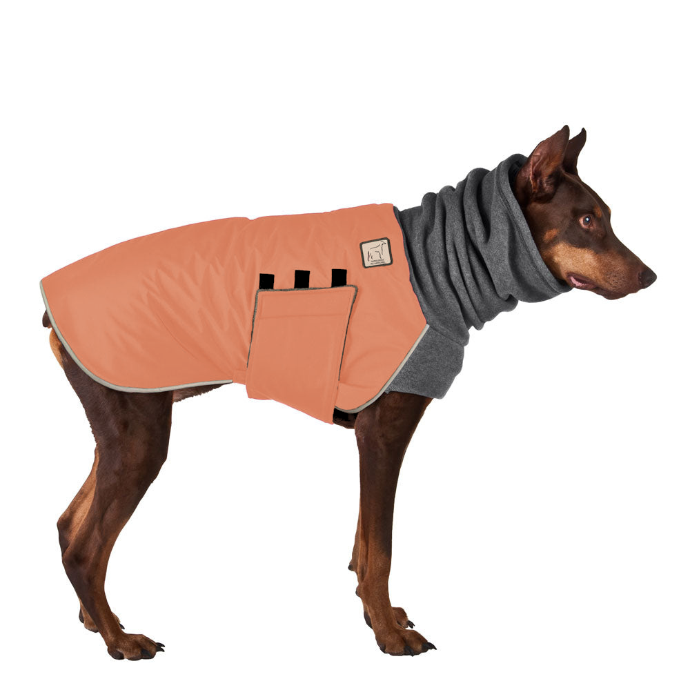 Doberman Pinscher Winter Coat