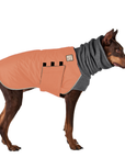 Doberman Pinscher Winter Coat