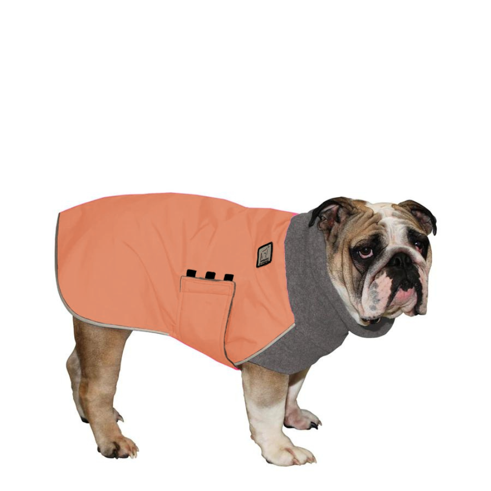 English Bulldog Winter Coat