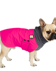 French Bulldog Winter Coat