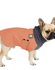 French Bulldog Winter Coat