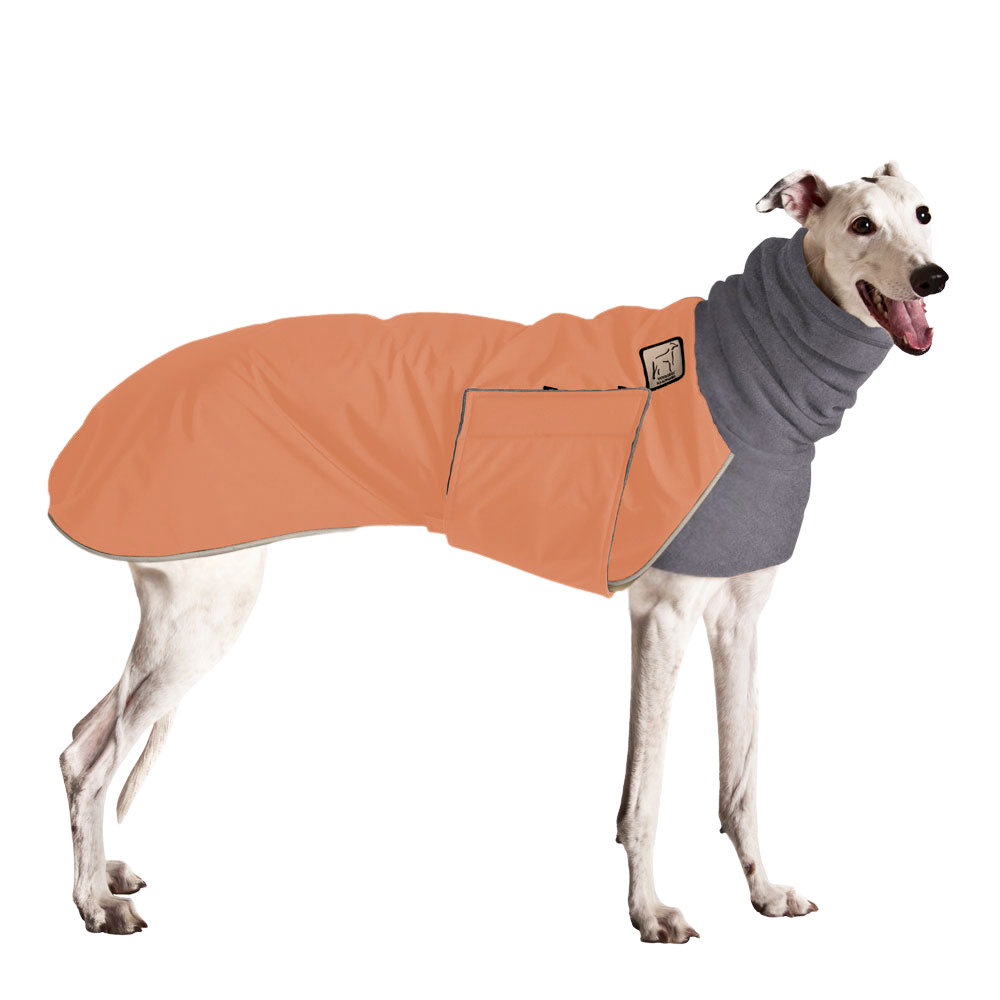 Greyhound Winter Coat