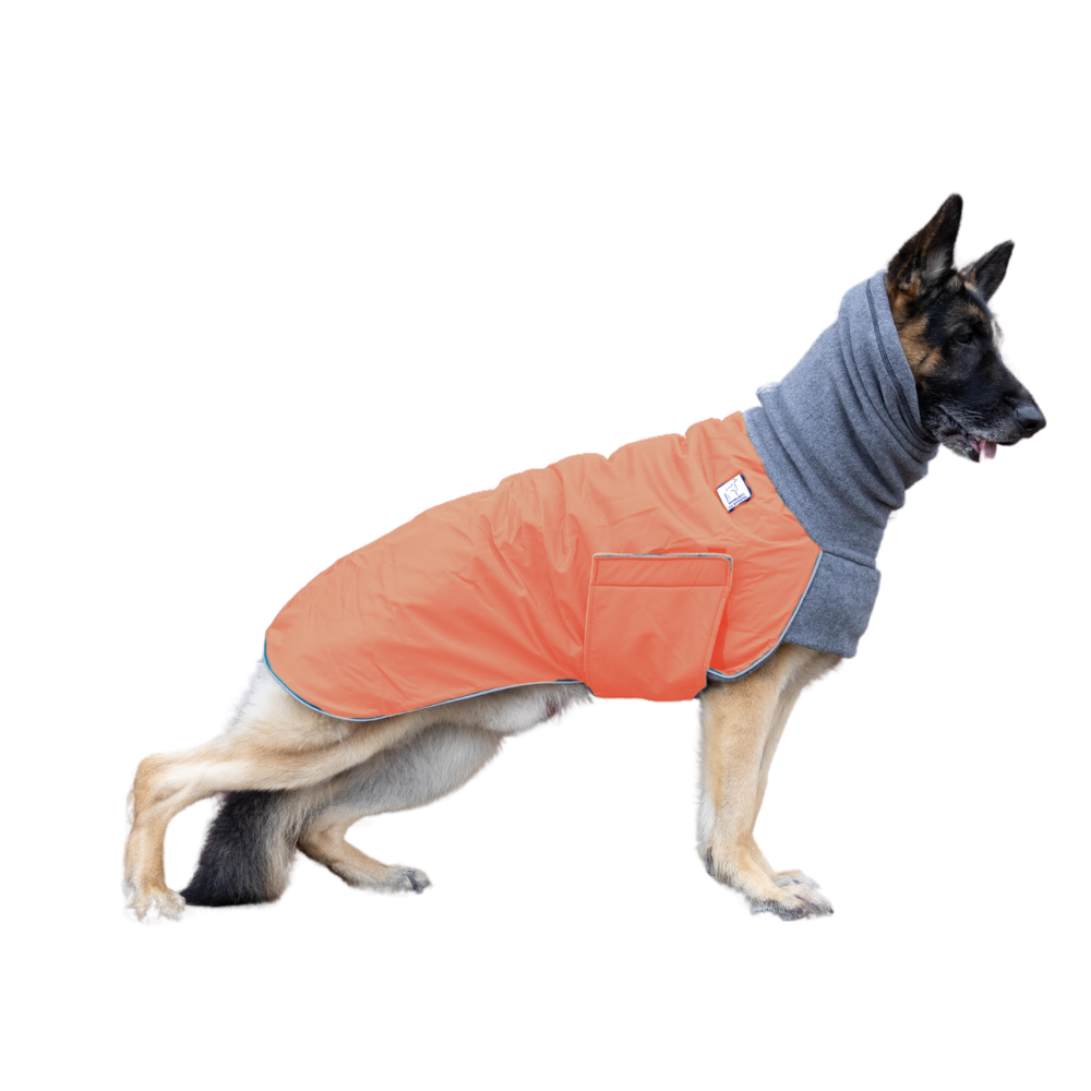 German Shepherd Winter Coat