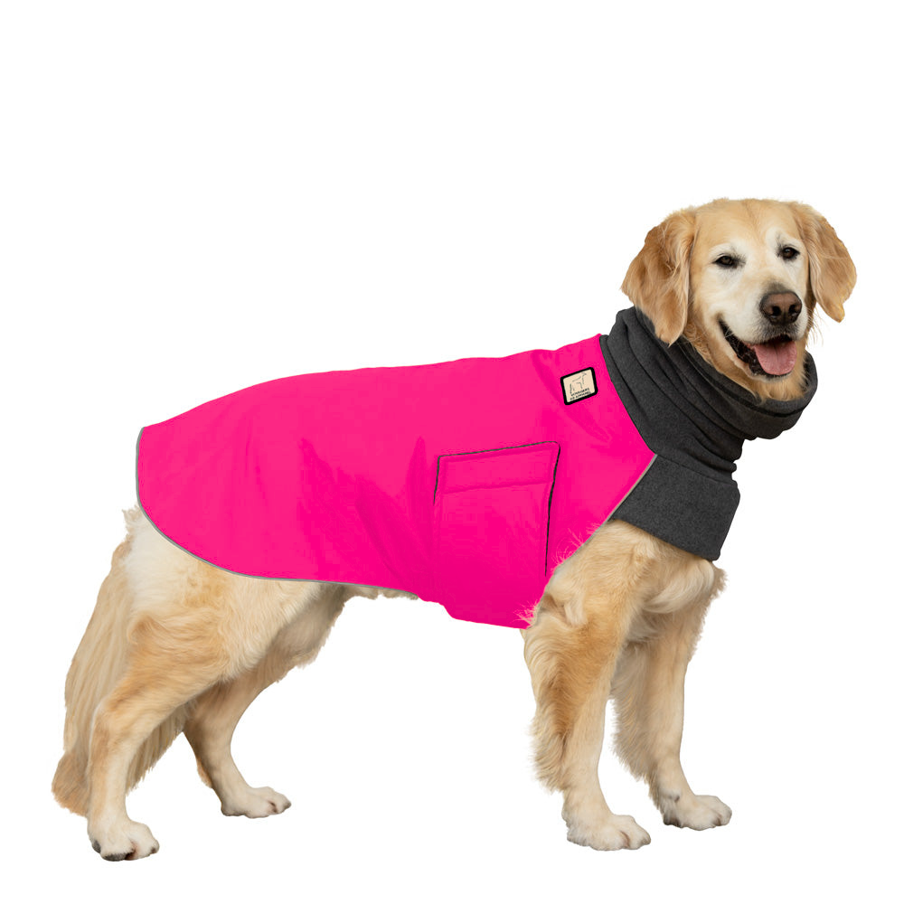 Golden Retriever Winter Coat