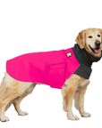 Golden Retriever Winter Coat