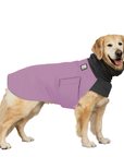 Golden Retriever Winter Coat