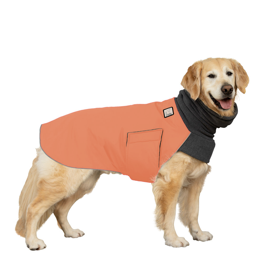 Golden Retriever Winter Coat